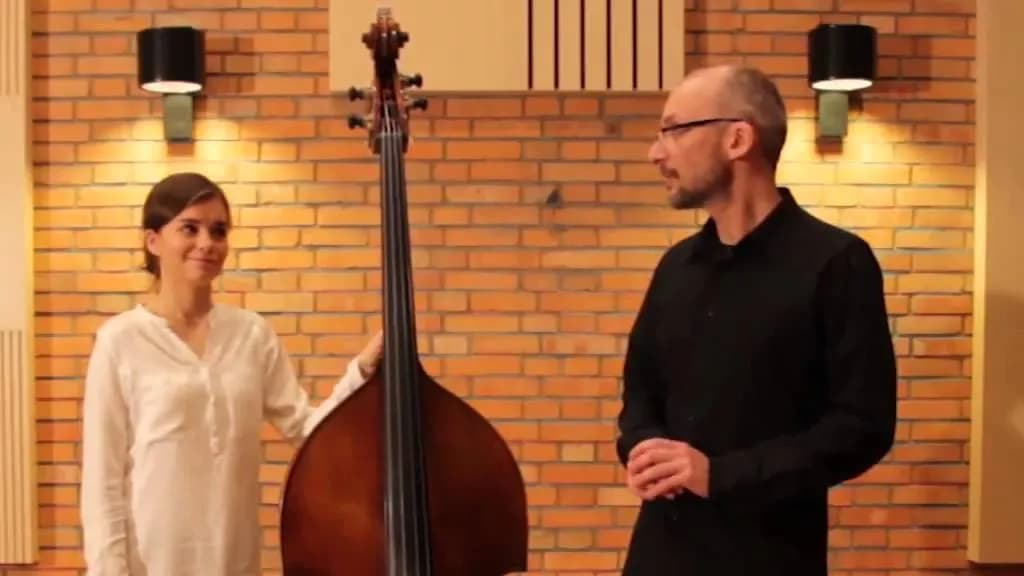 Kontrabas - budowa i techniki gry na tym niskim instrumencie smyczkowym