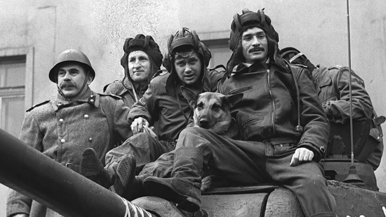 Czterej pancerni i pies piosenka kto śpiewa? Odkryj tajemnicę!