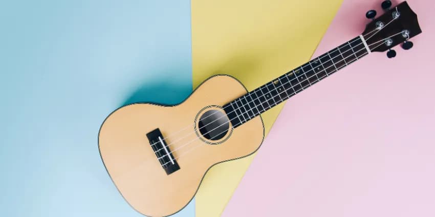 Struny ukulele - Jakie wybrać najlepsze struny do ukulele? Poradnik zakupowy