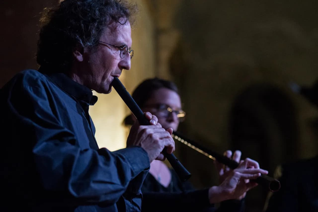 Multiinstrumentalista - artysta grający na wielu instrumentach