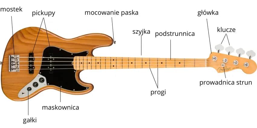 Gitara basowa - budowa, strojenie i podstawowe techniki gry